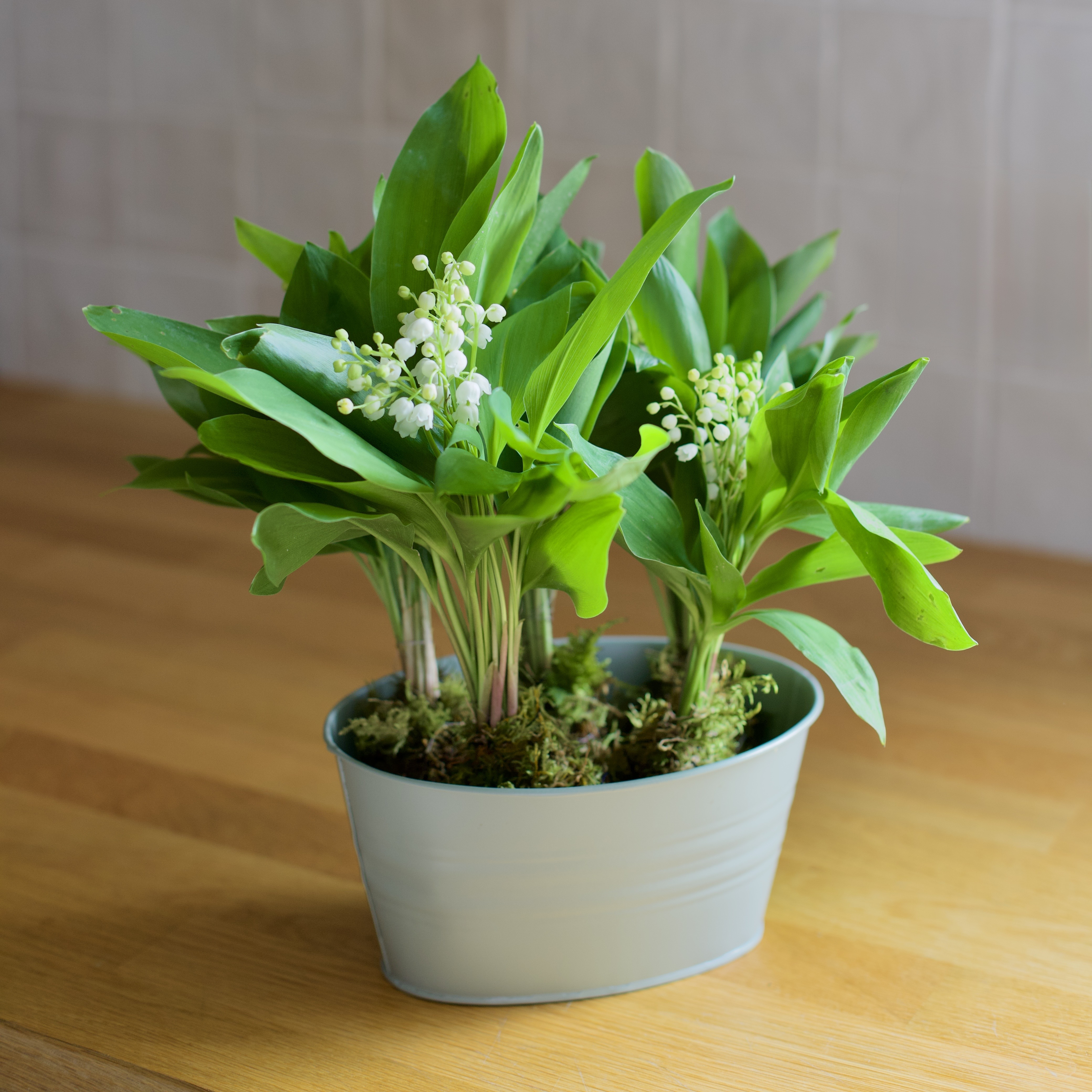 Le Blog Monsieur Marguerite