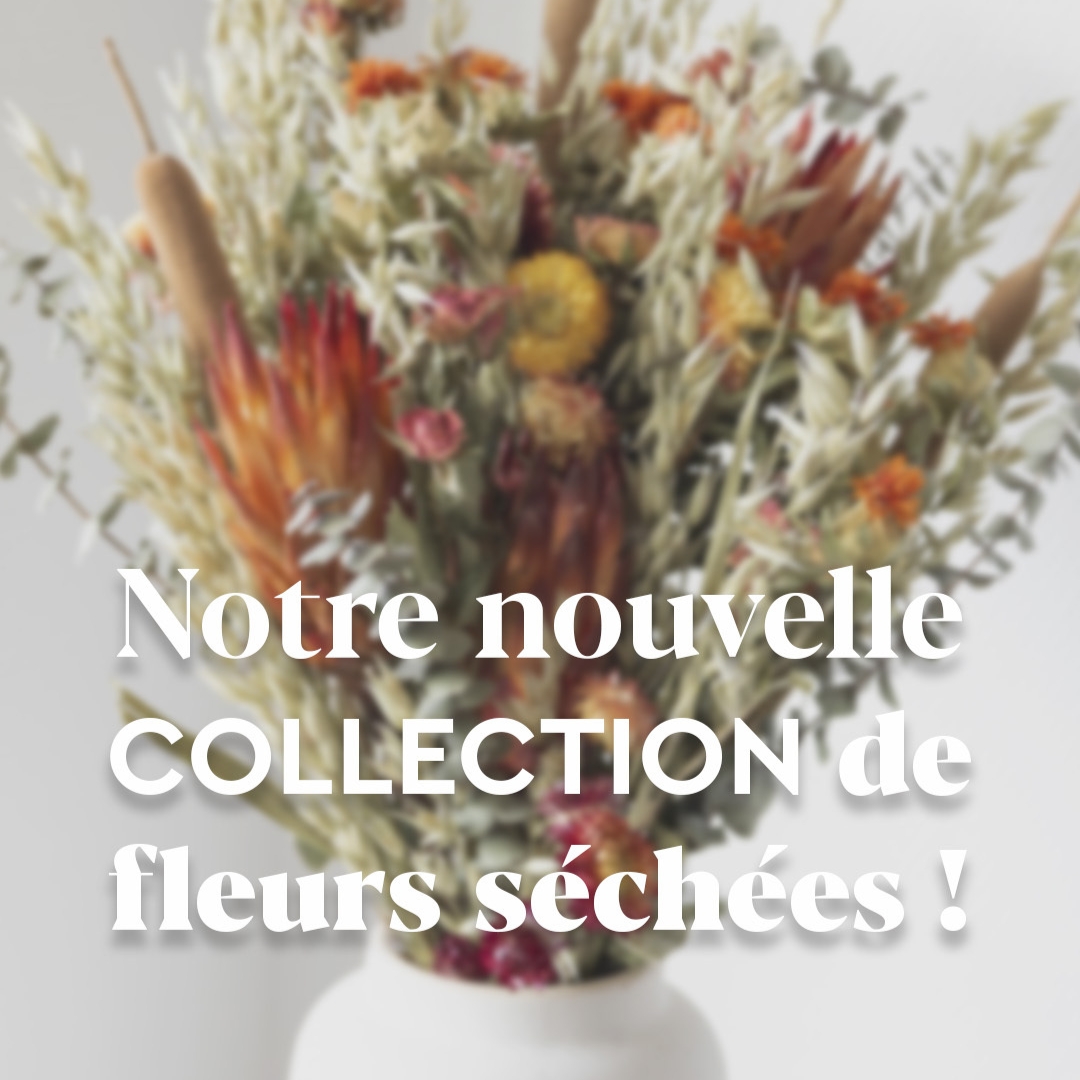 Notre nouvelle collection de fleurs séchées ! 