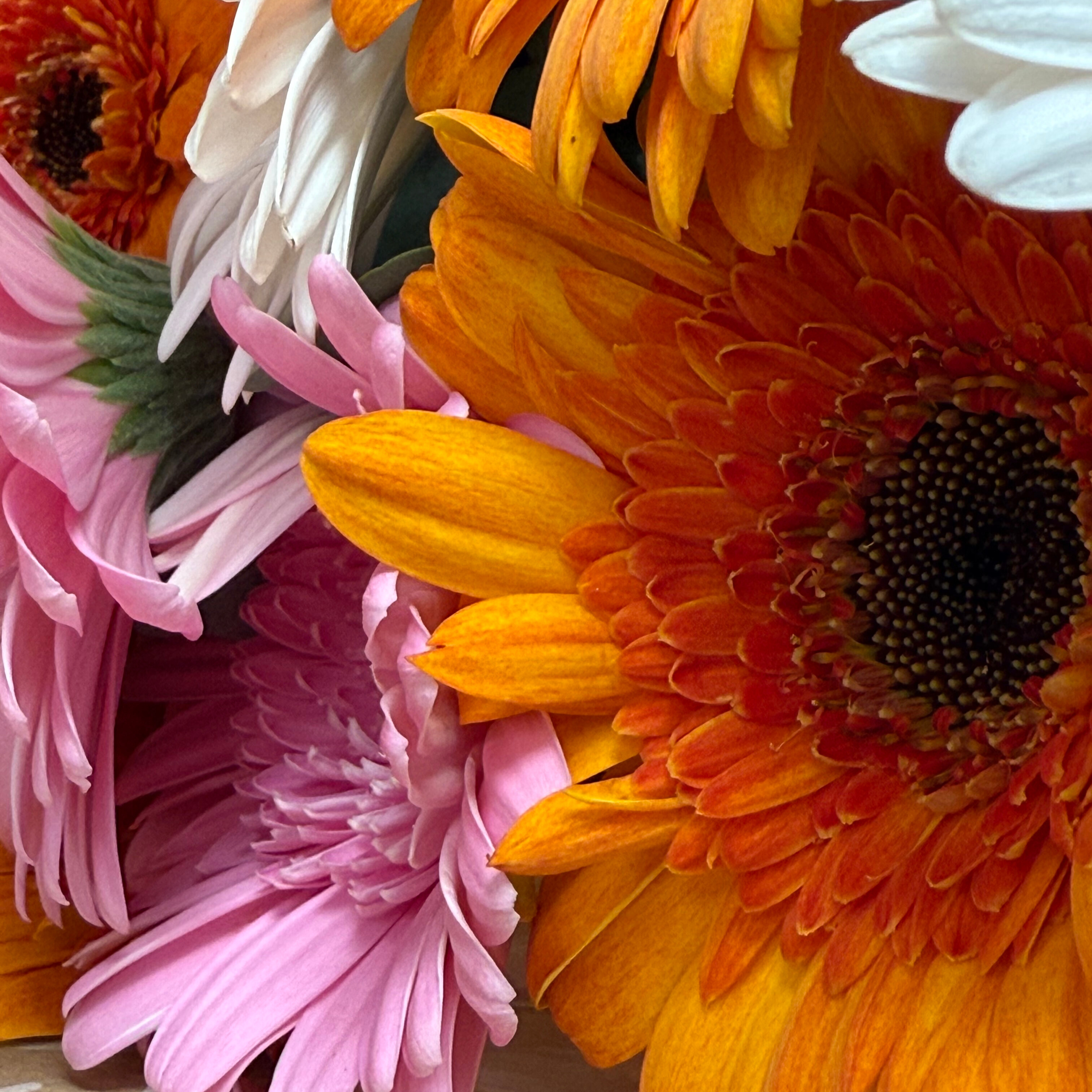 Le Blog Monsieur Marguerite