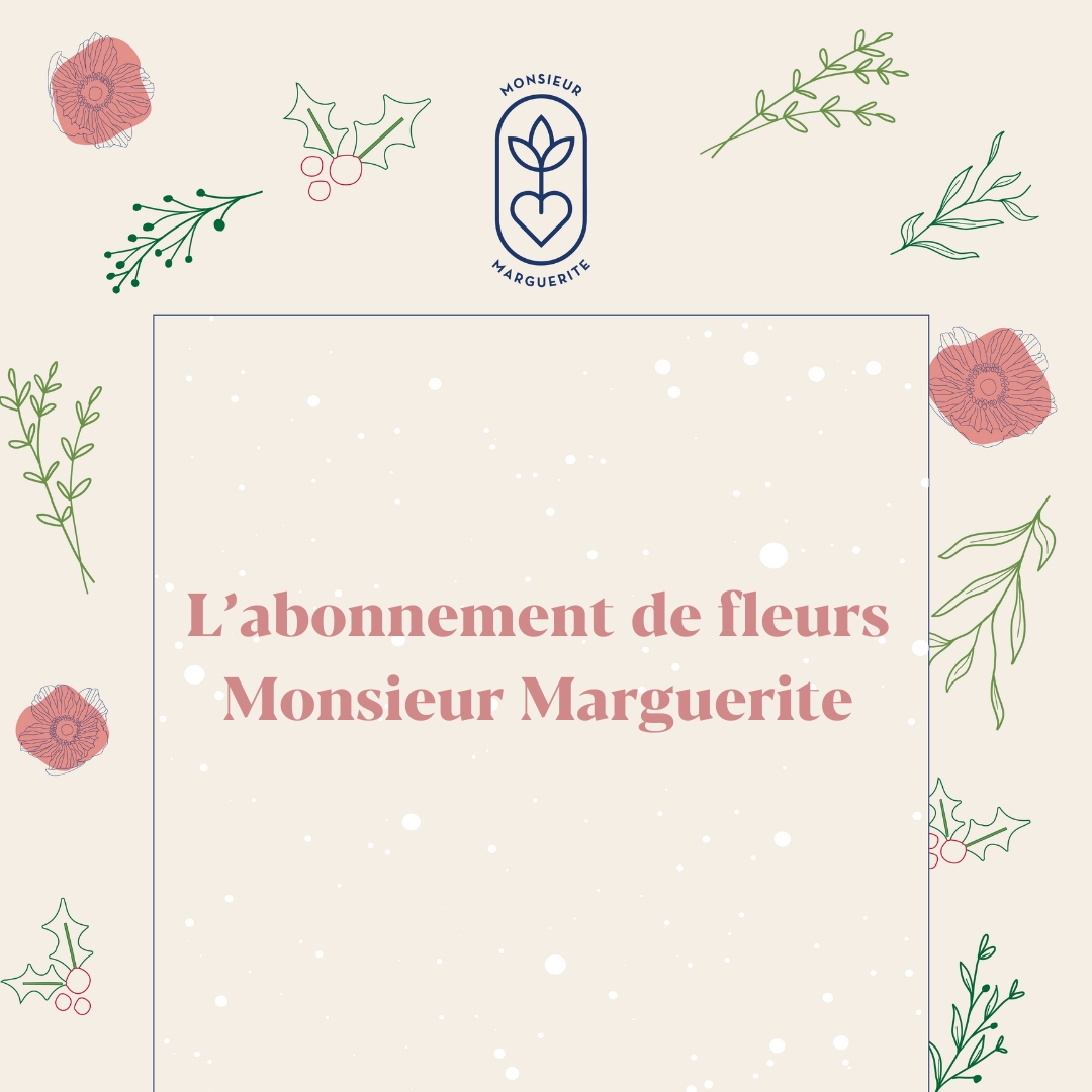 Le meilleur cadeau de Noël : l’abonnement de fleurs Monsieur Marguerite ! 