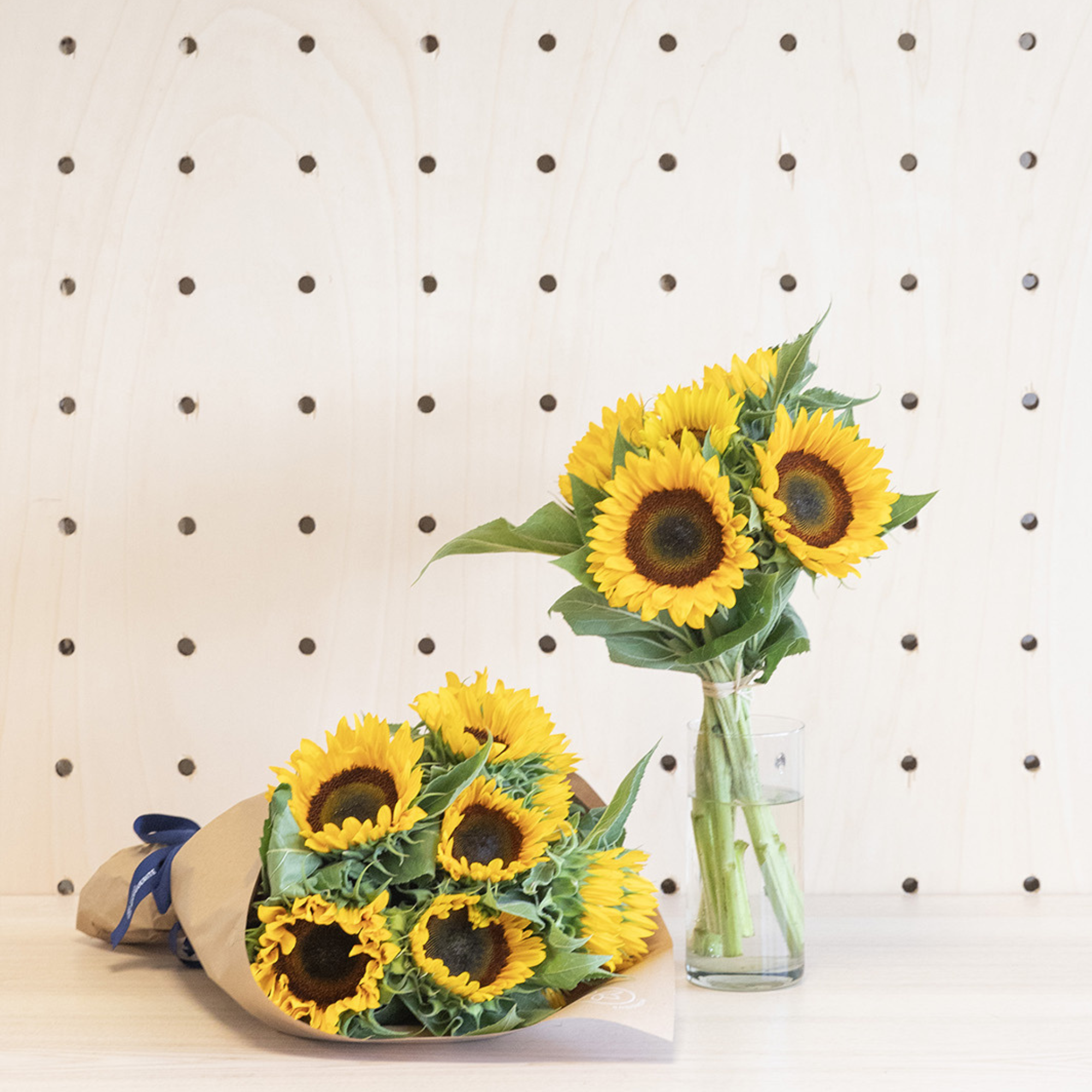 5 choses à savoir sur le Tournesol
