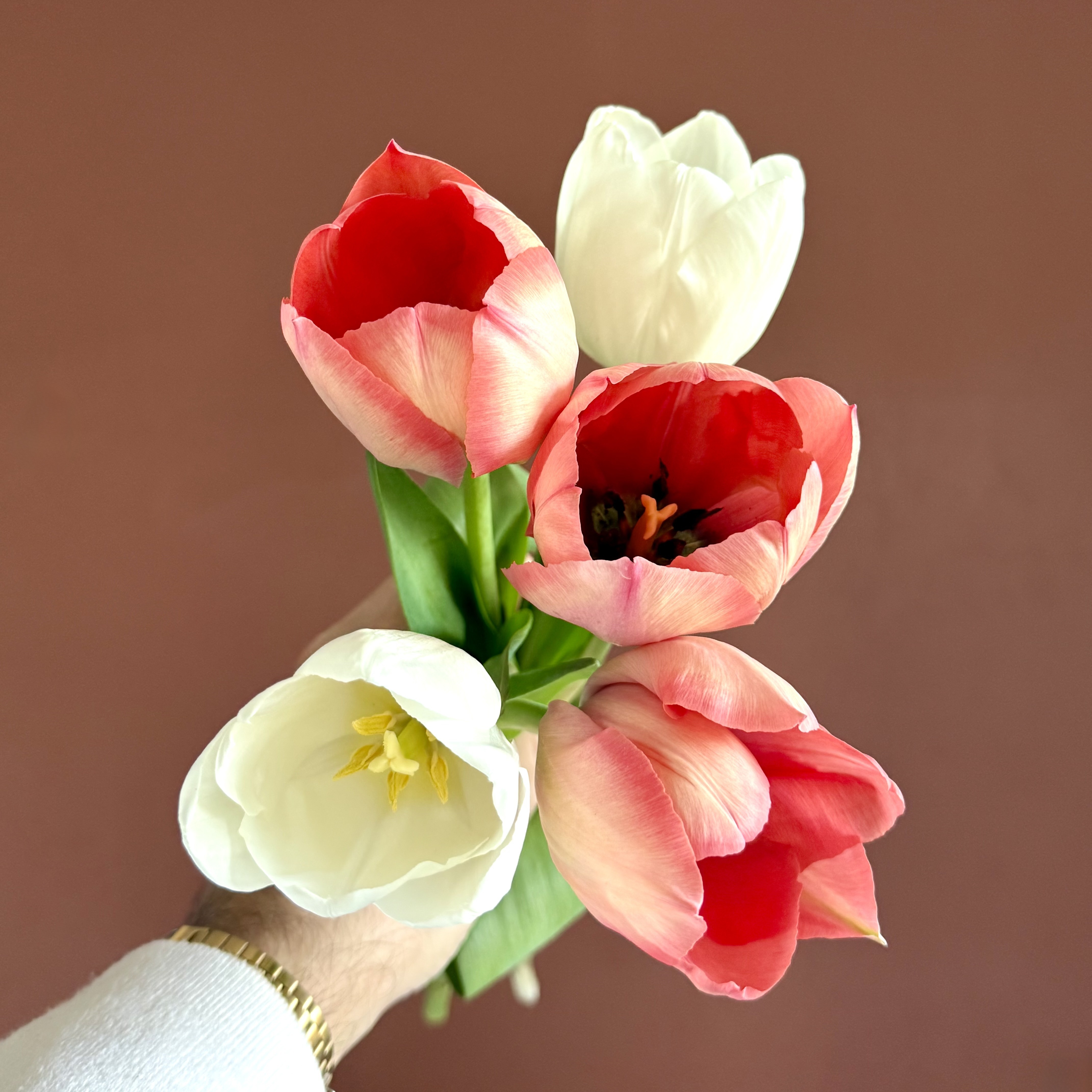 Le Blog Monsieur Marguerite