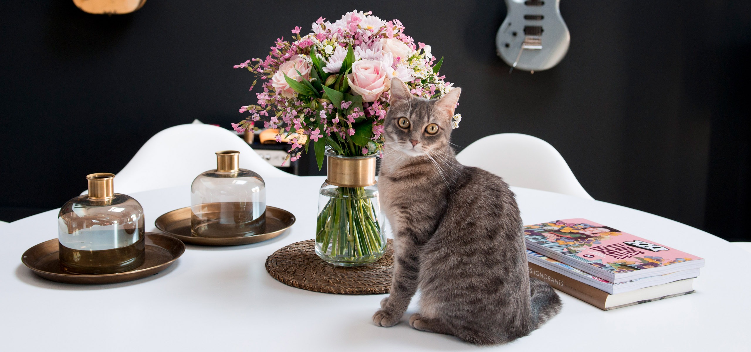 Dossier: les fleurs toxiques pour les chats