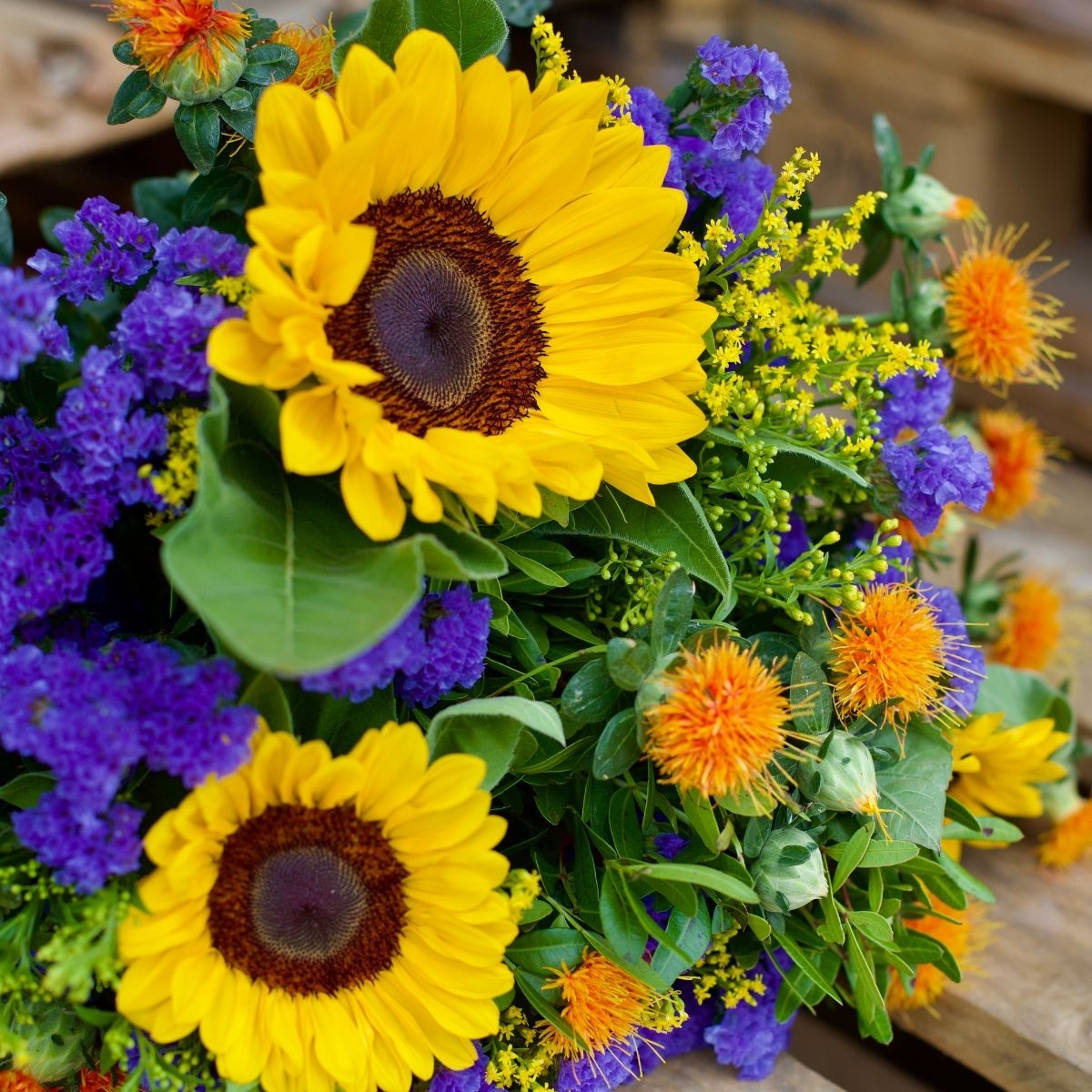 Le Blog Monsieur Marguerite