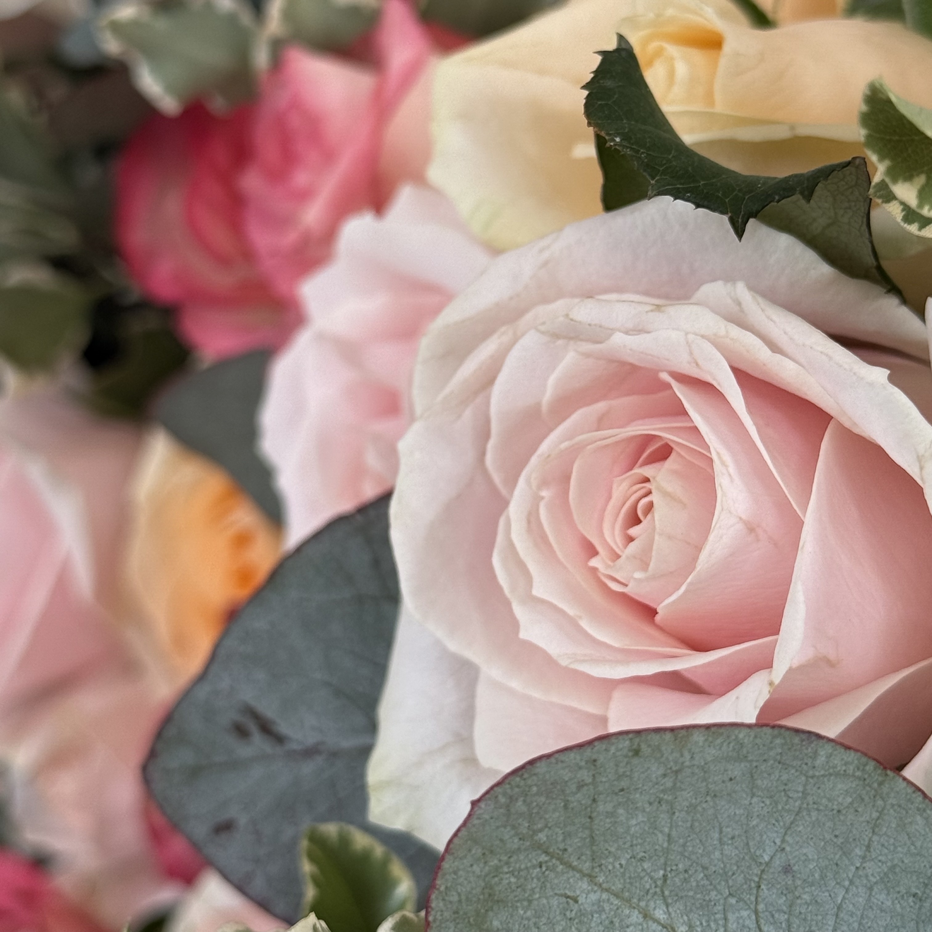 Le Blog Monsieur Marguerite
