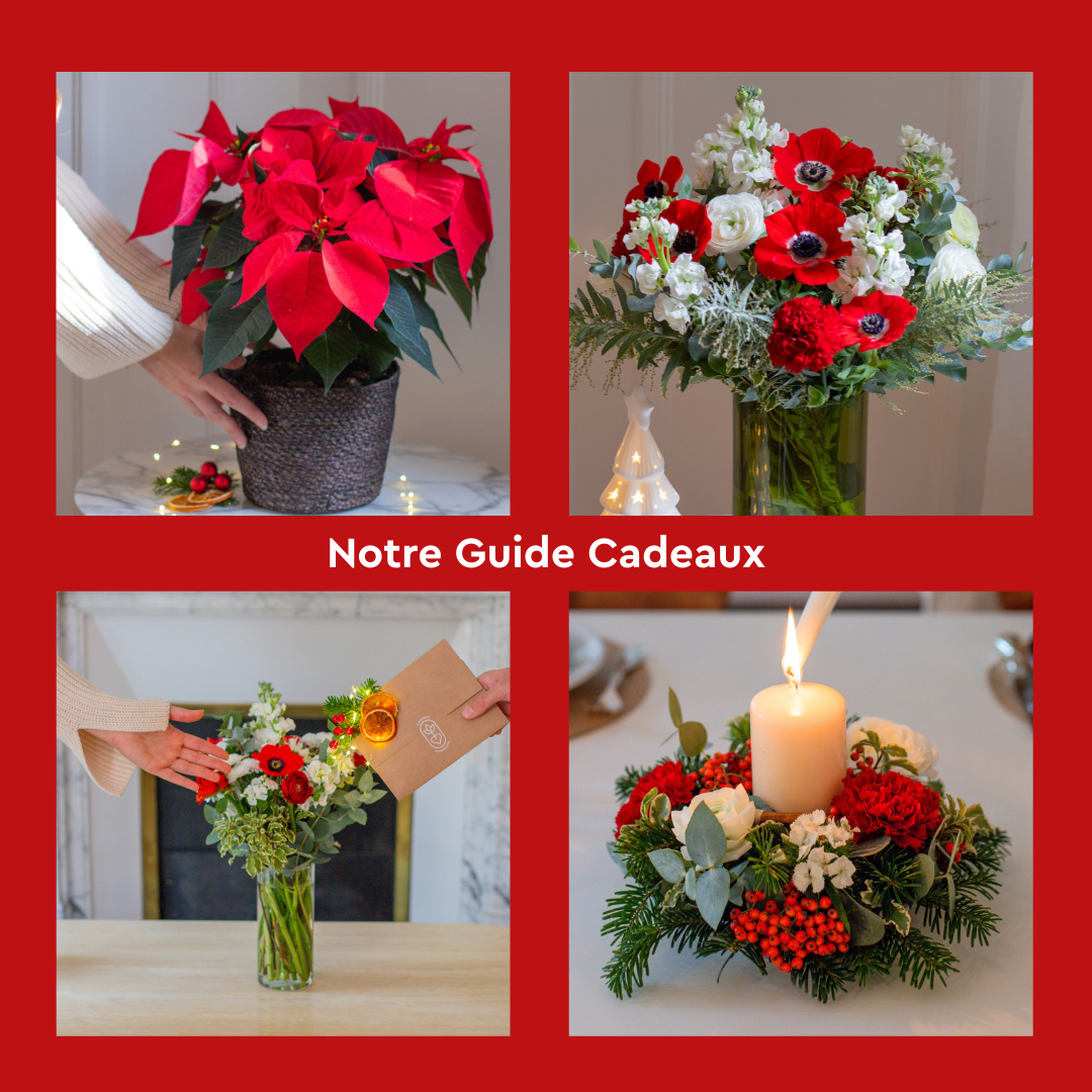 Découvrez notre guide-cadeaux de Noël