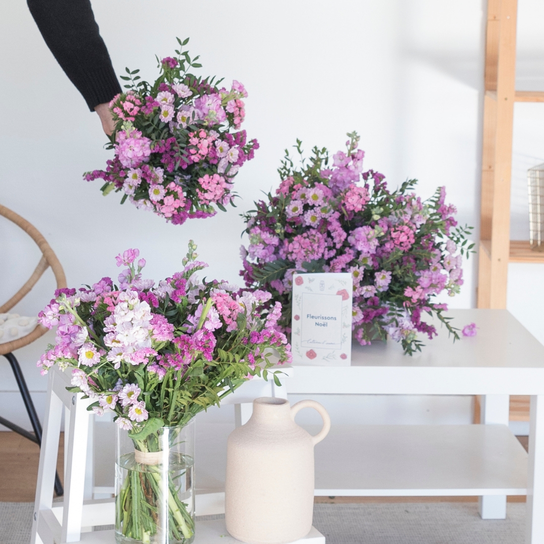 Nos fleurs du 20 au 24 novembre 