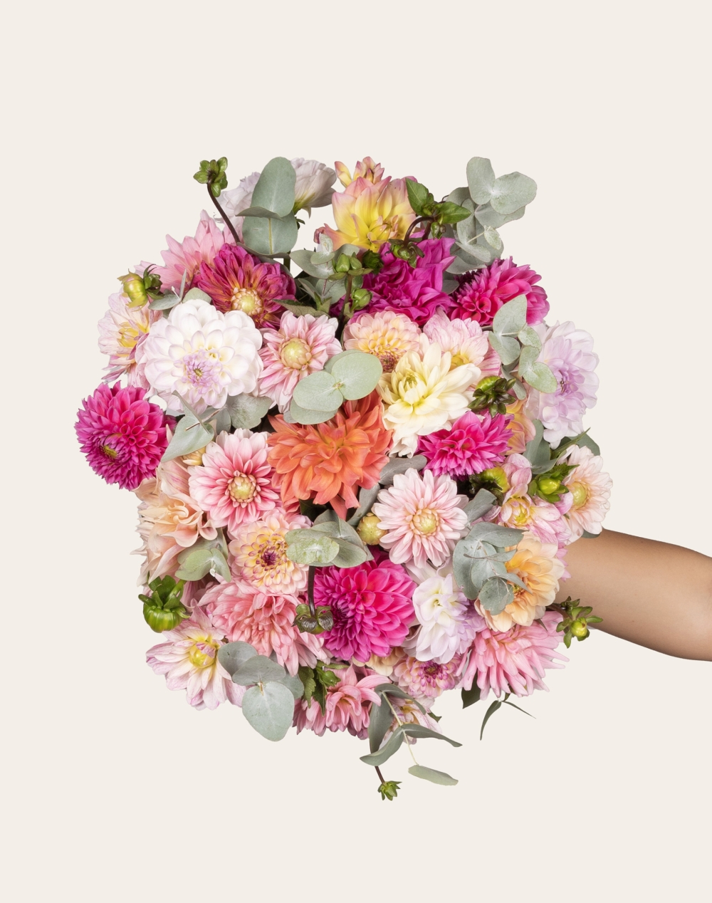 Bouquet d'exception de Dahlias