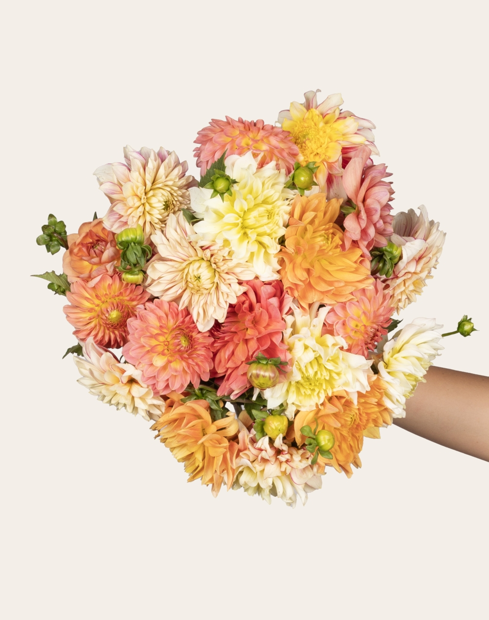 Botte surprise de Dahlias - Couleurs Automnales