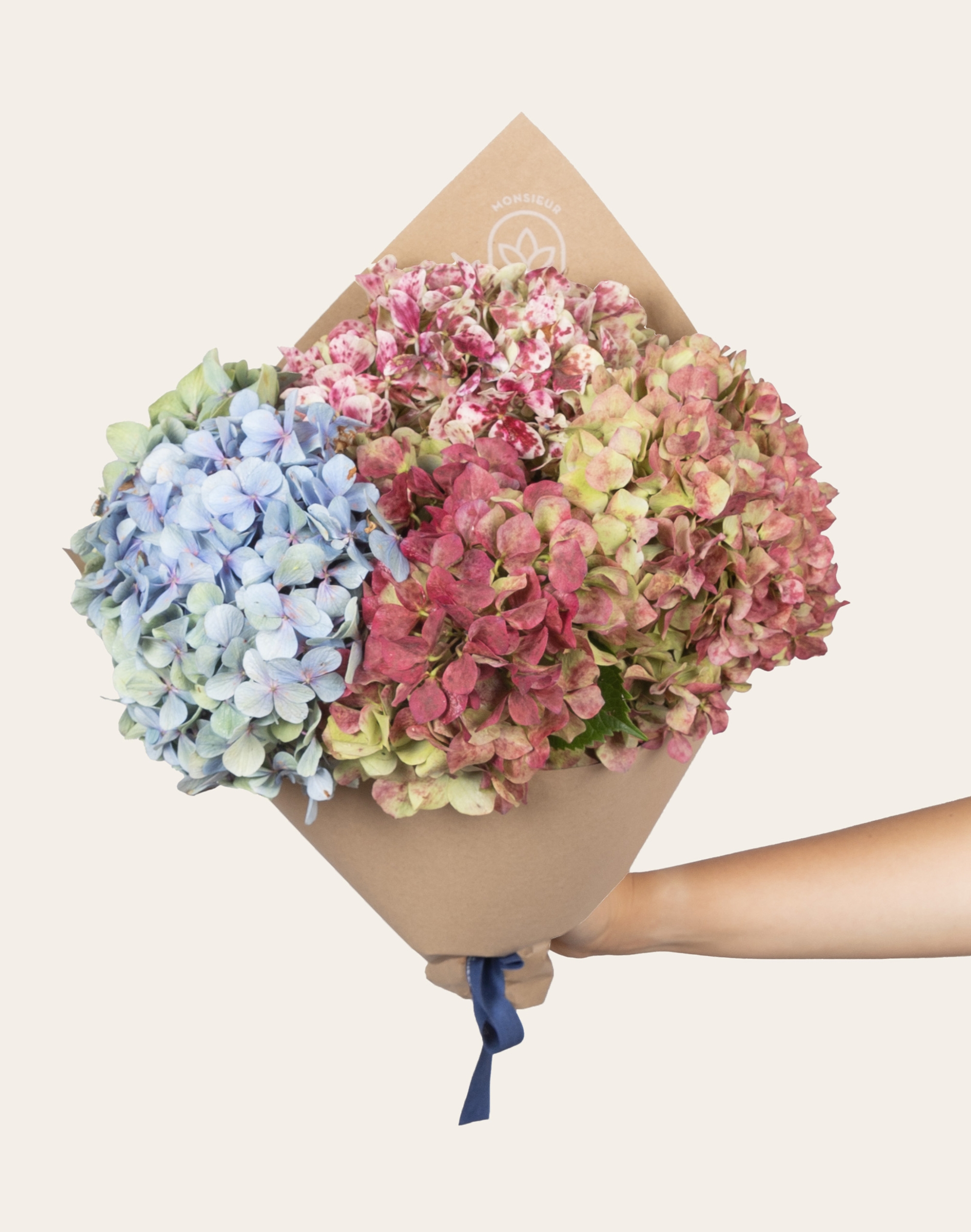 Botte d'Hortensias de Bretagne