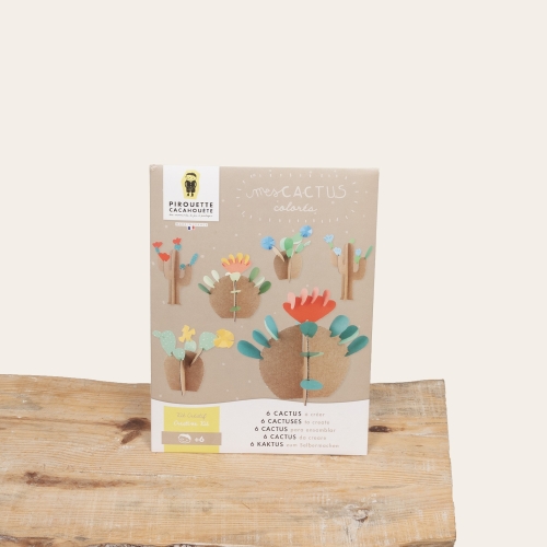 Kit Créatif - Mes Cactus colorés | Fleurs à domicile | Monsieur Marguerite