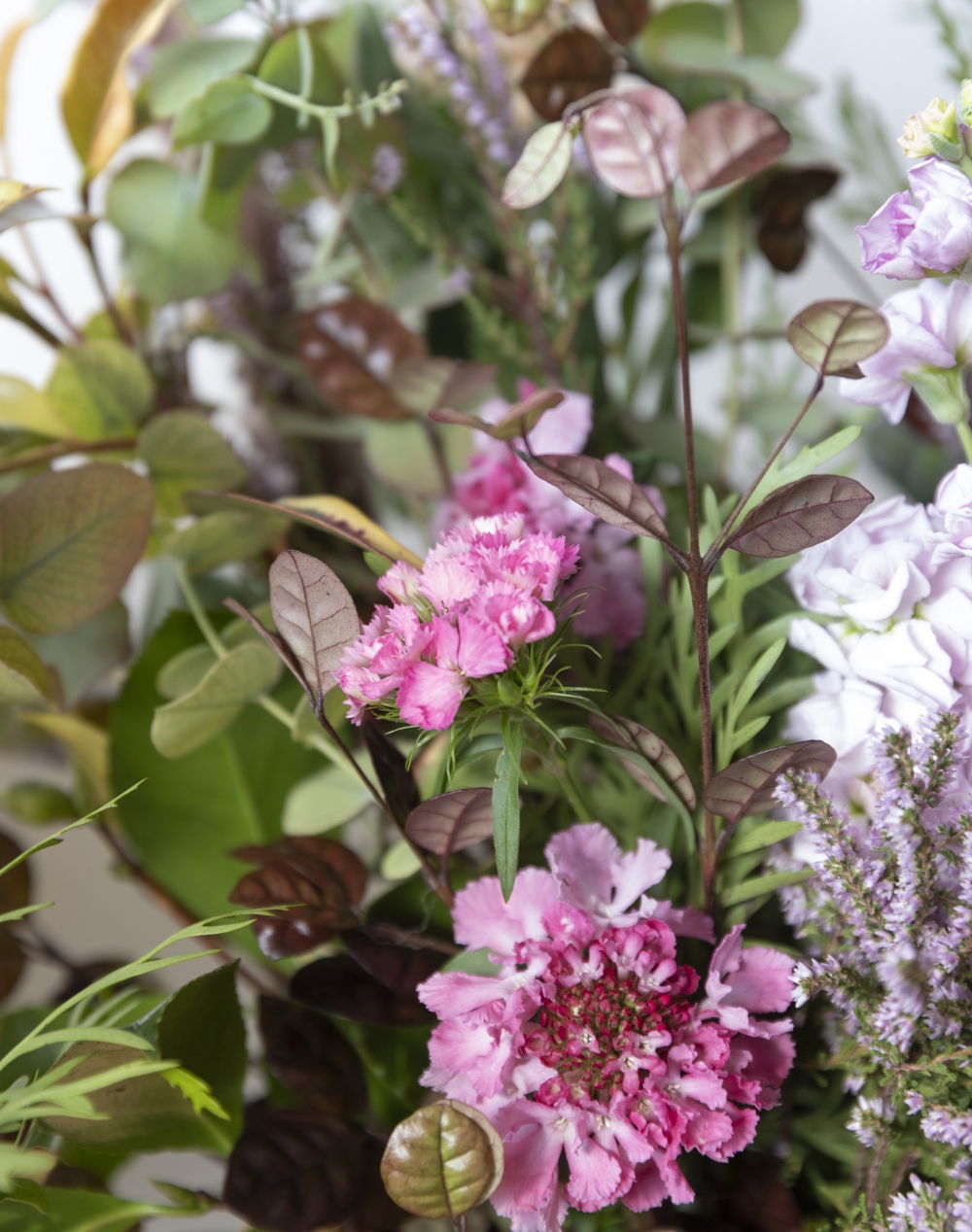 Lisière de Forêt fleurie - rose