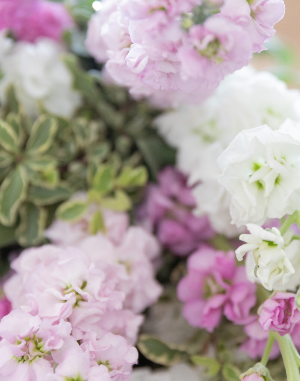 Bouquet surprise de Giroflées