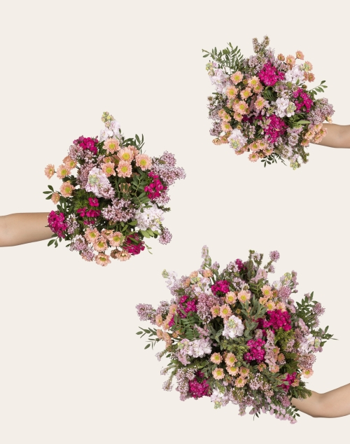 La box de fleurs de saison | Fleurs à domicile | Monsieur Marguerite