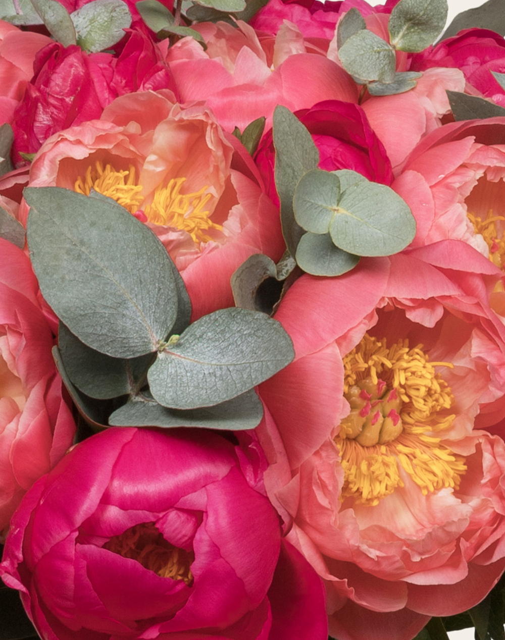Bouquet d'exception de Pivoines - Passionnément