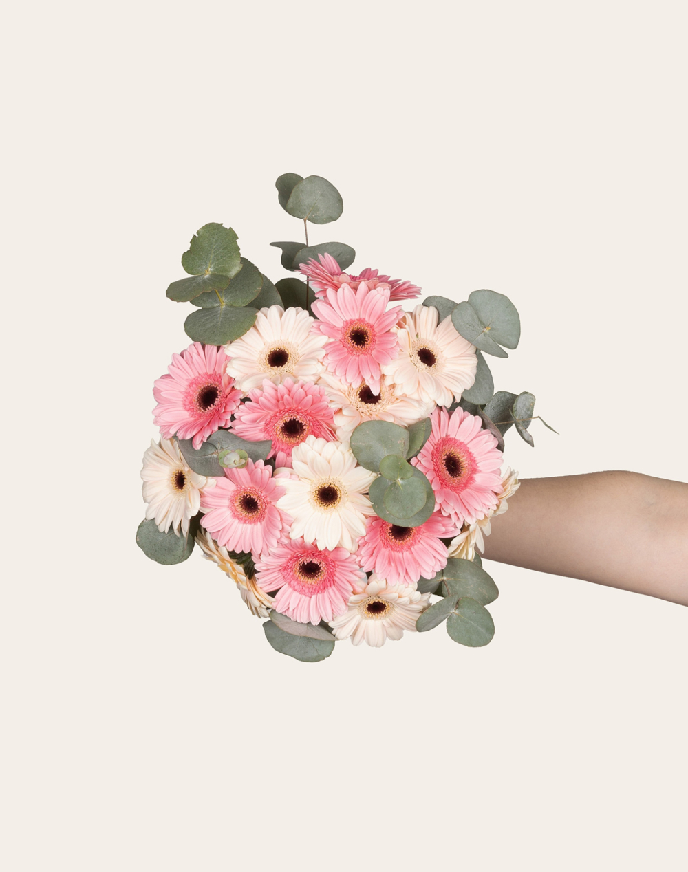 Bouquet de Germinis - Beaucoup 