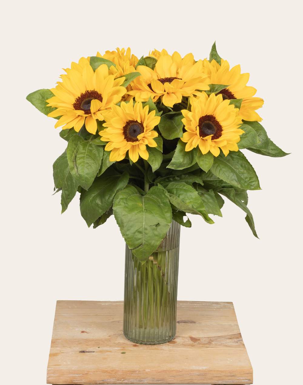 Pack Papa - Tournesols et chocolats