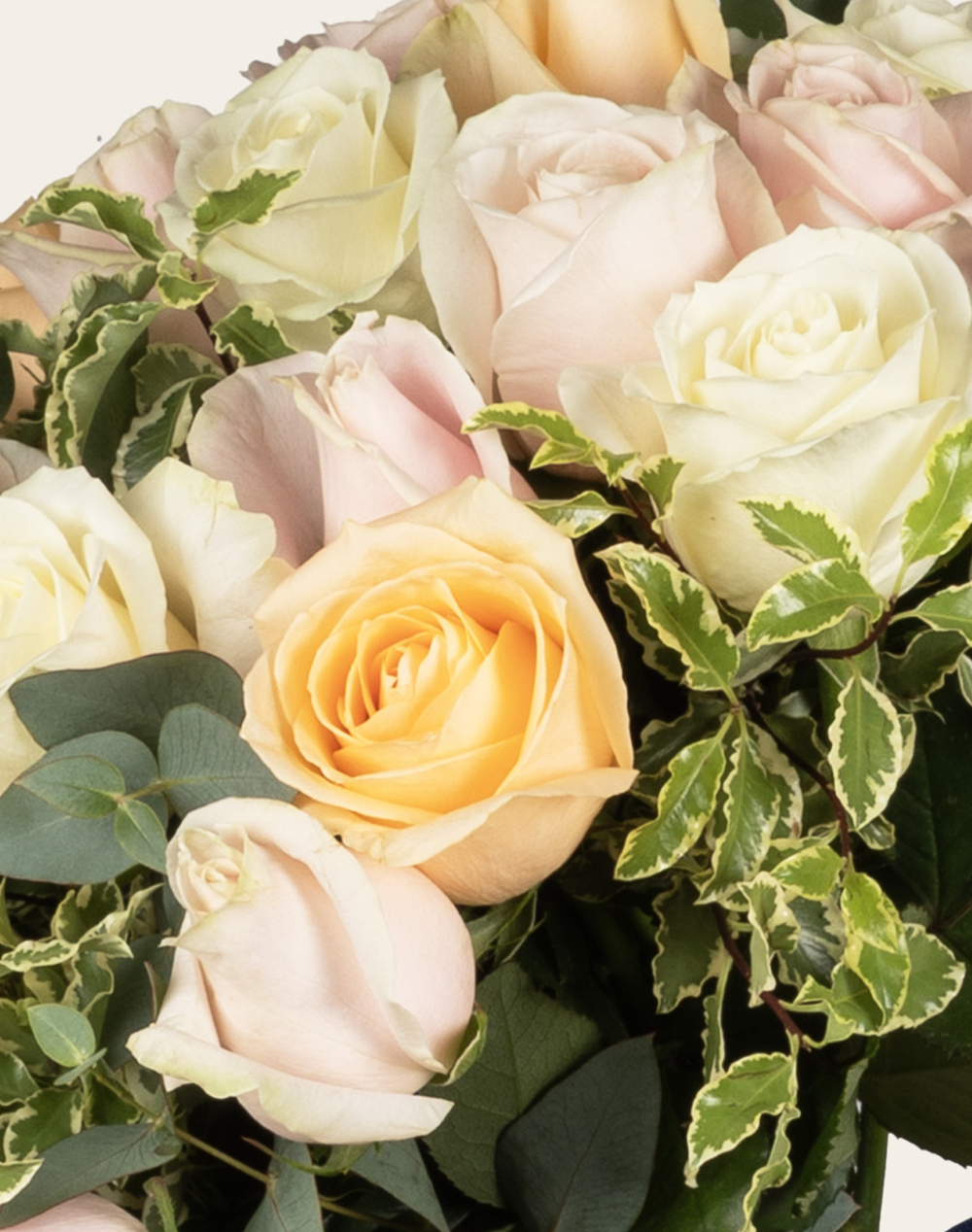 Bouquet de Roses - Multicolores