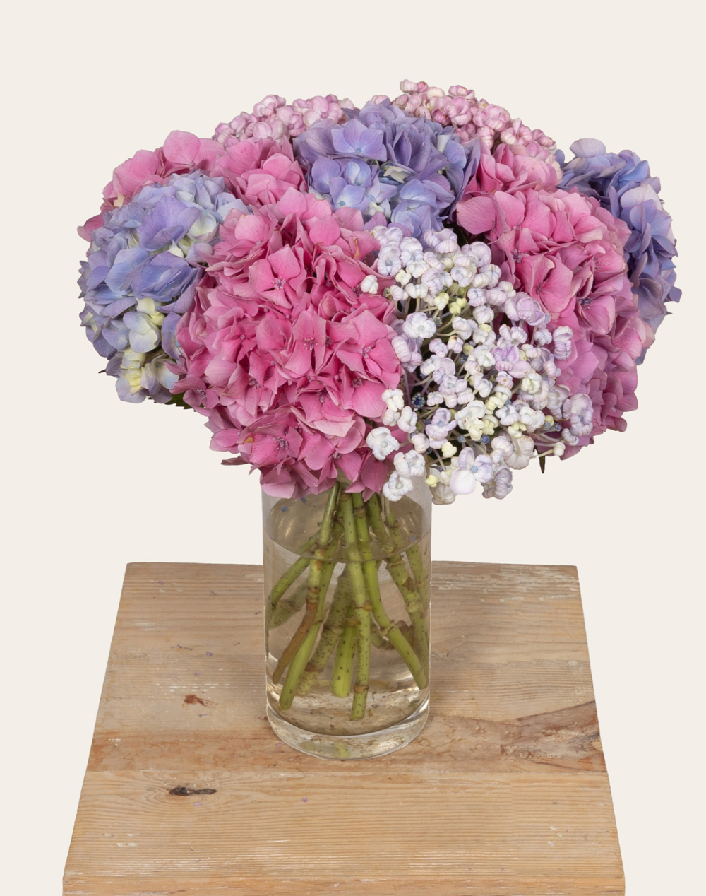 Bouquet camaïeu de 10 Hortensias