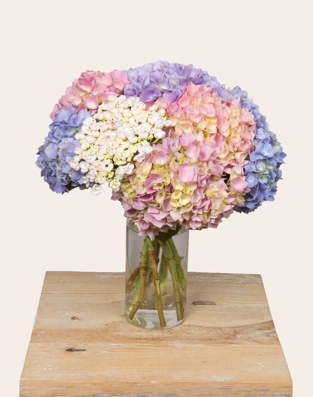 Pack Anniversaire - Bouquet camaïeu d’Hortensias