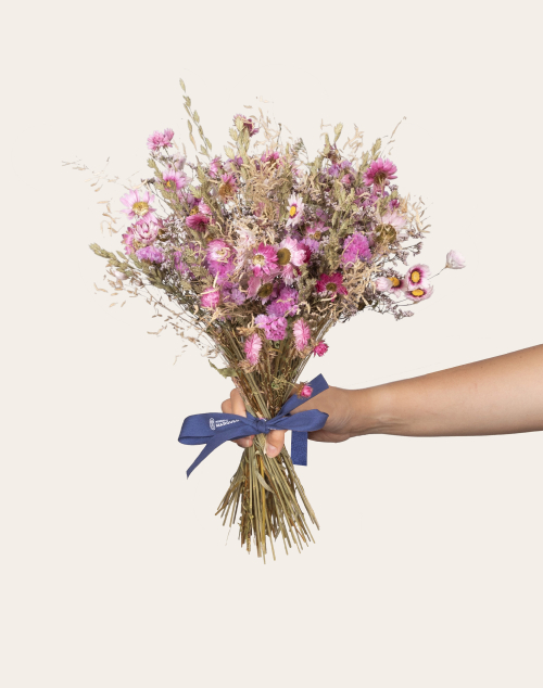 Féerie rose - Bouquet de fleurs séchées | Fleurs à domicile | Monsieur Marguerite
