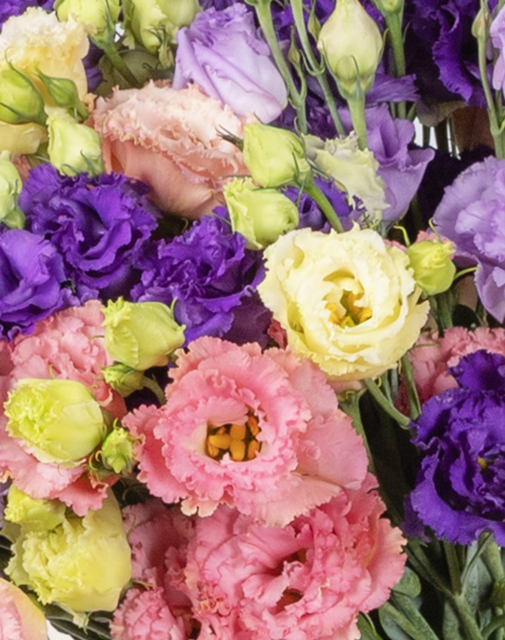 Botte surprise de Lisianthus