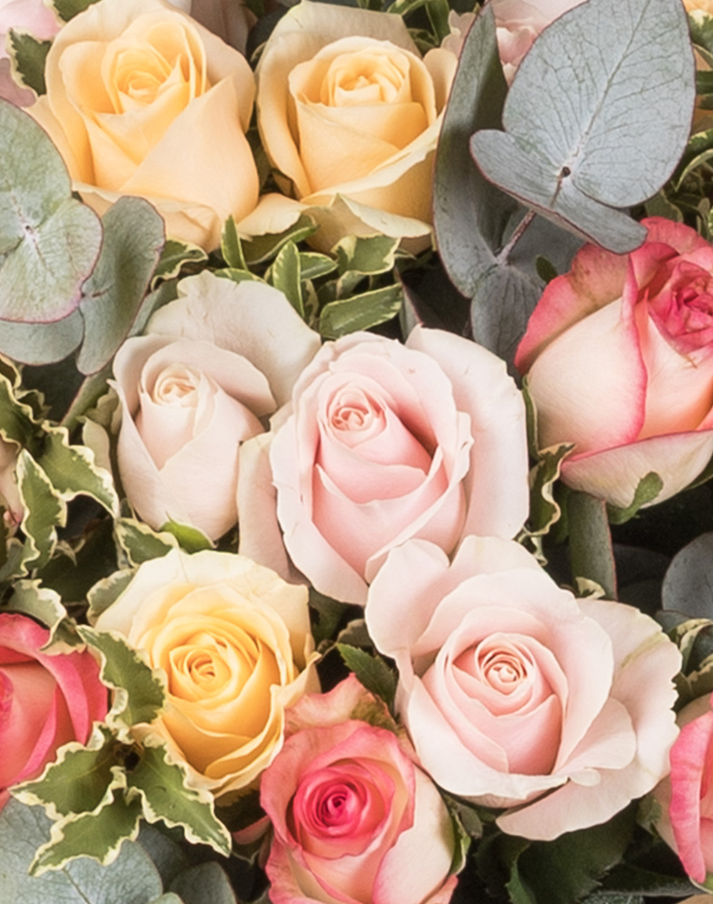 Bouquet de Roses - Multicolores