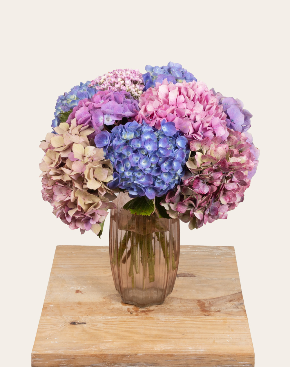 Bouquet camaïeu de 10 Hortensias