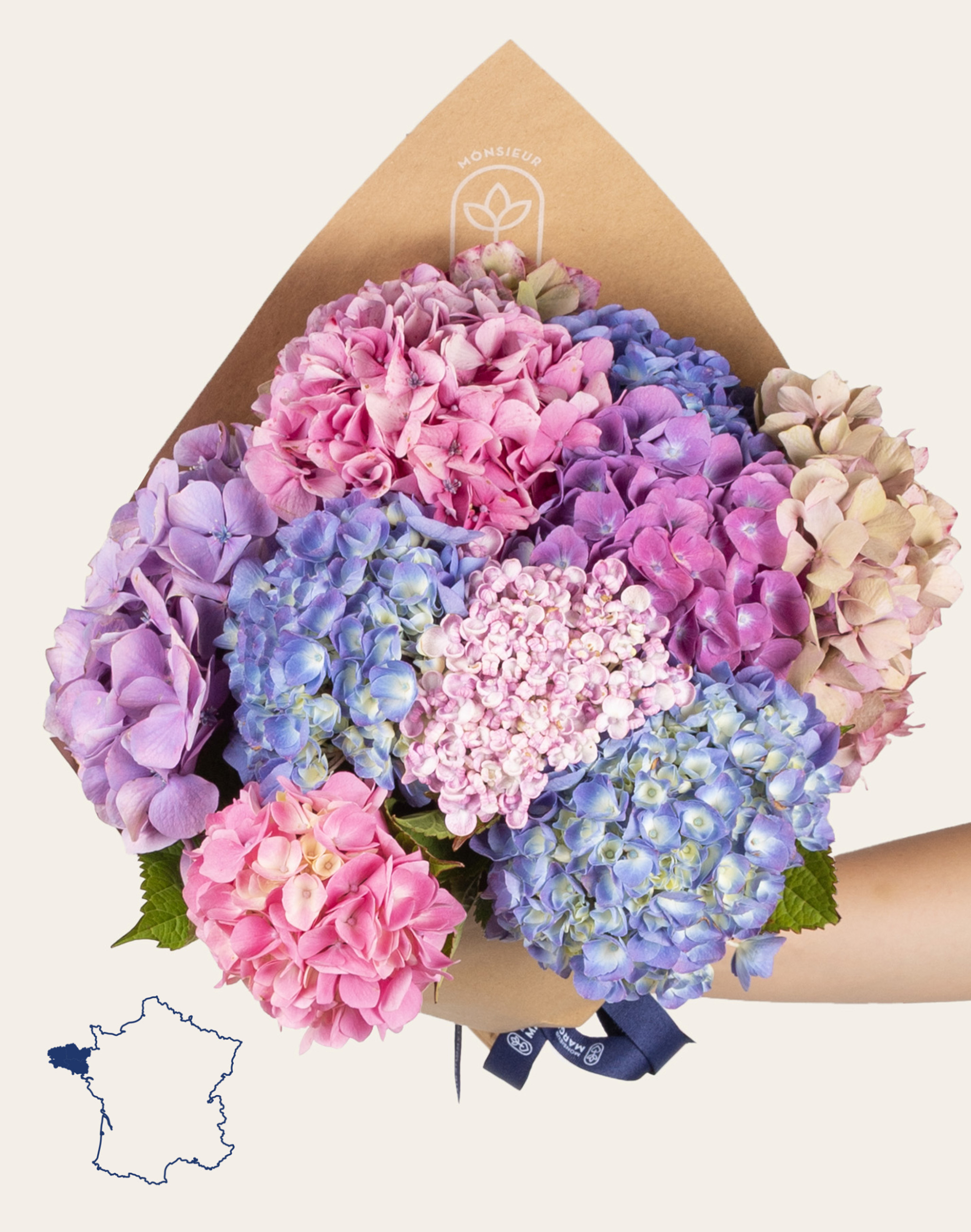 Bouquet camaïeu de 10 Hortensias