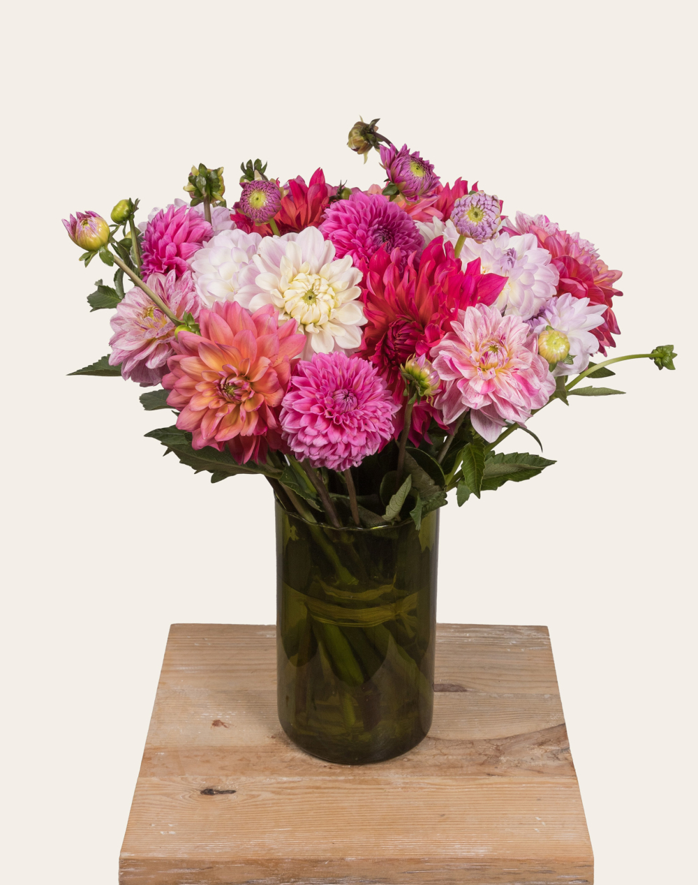 Botte surprise de Dahlias