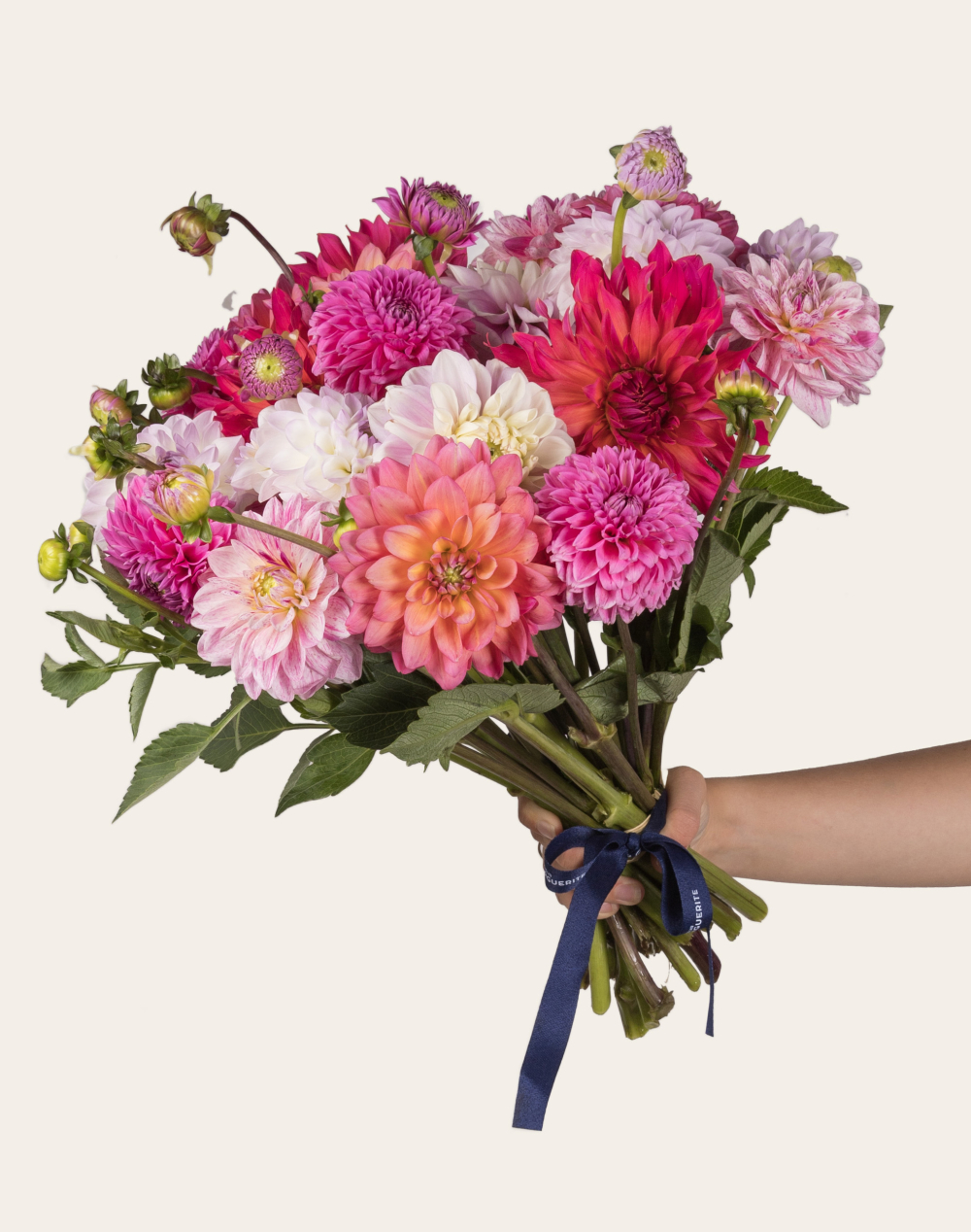 Botte surprise de Dahlias