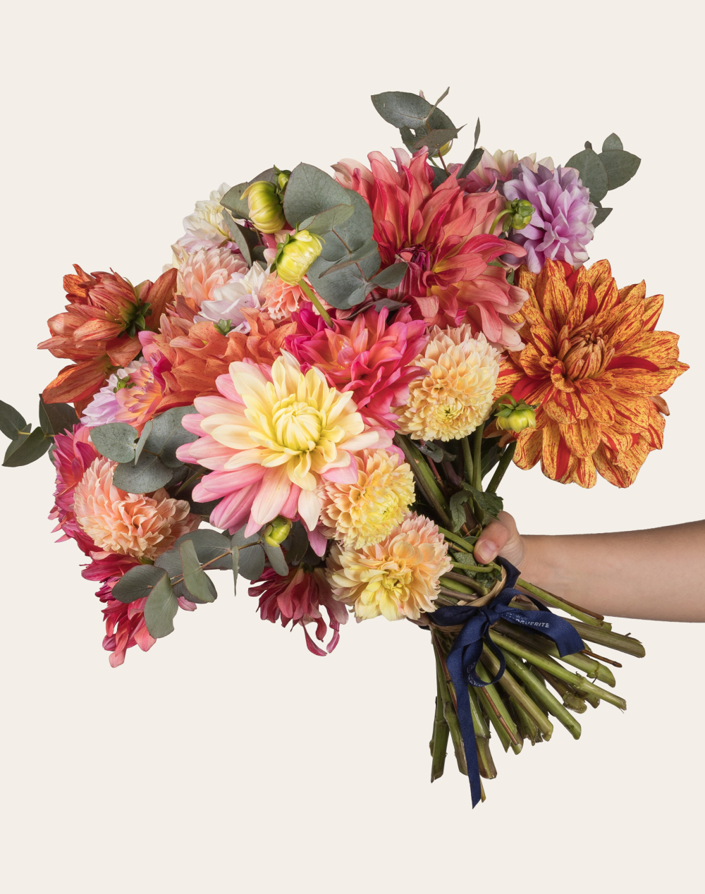 Bouquet d'exception de Dahlias
