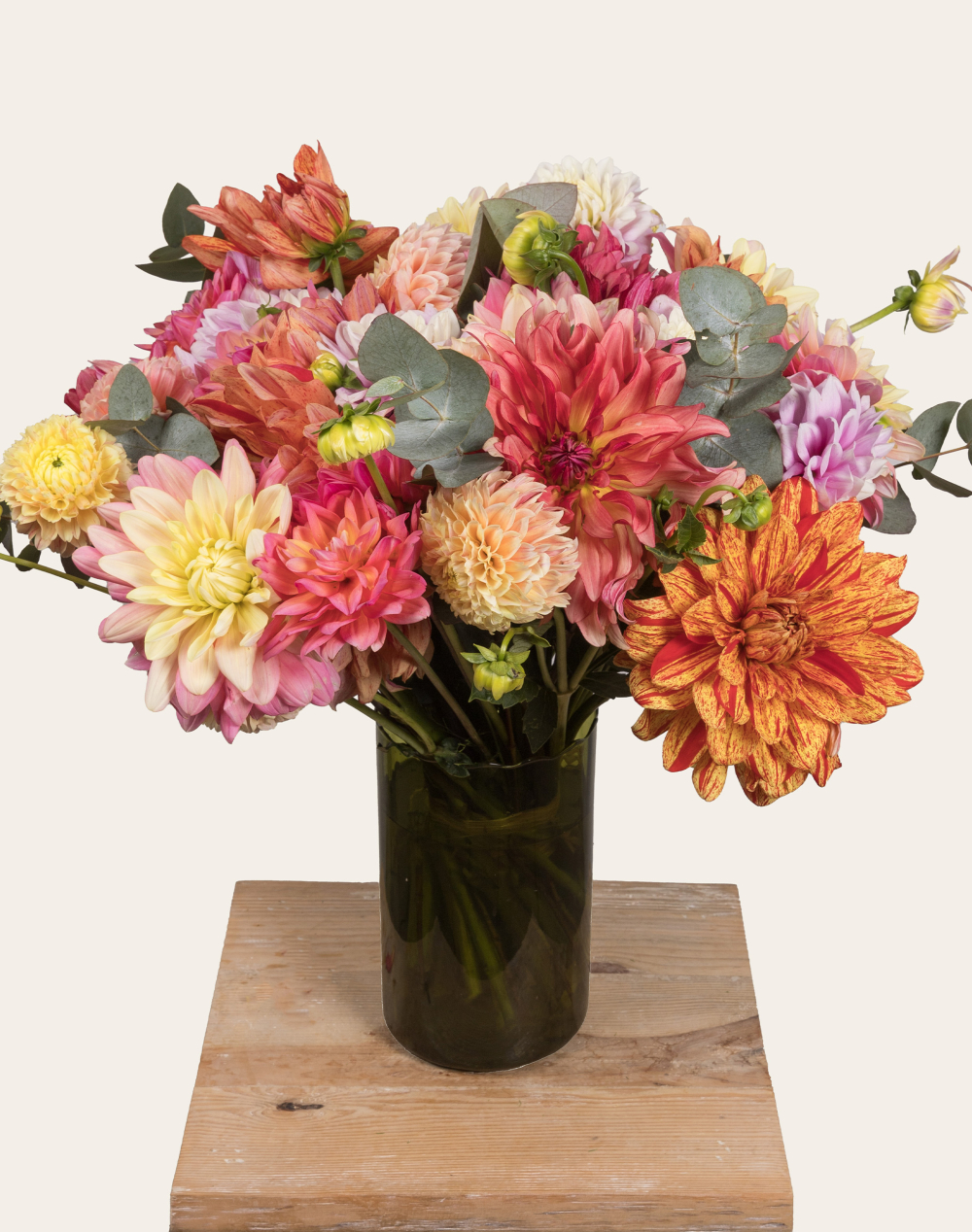 Bouquet d'exception de Dahlias
