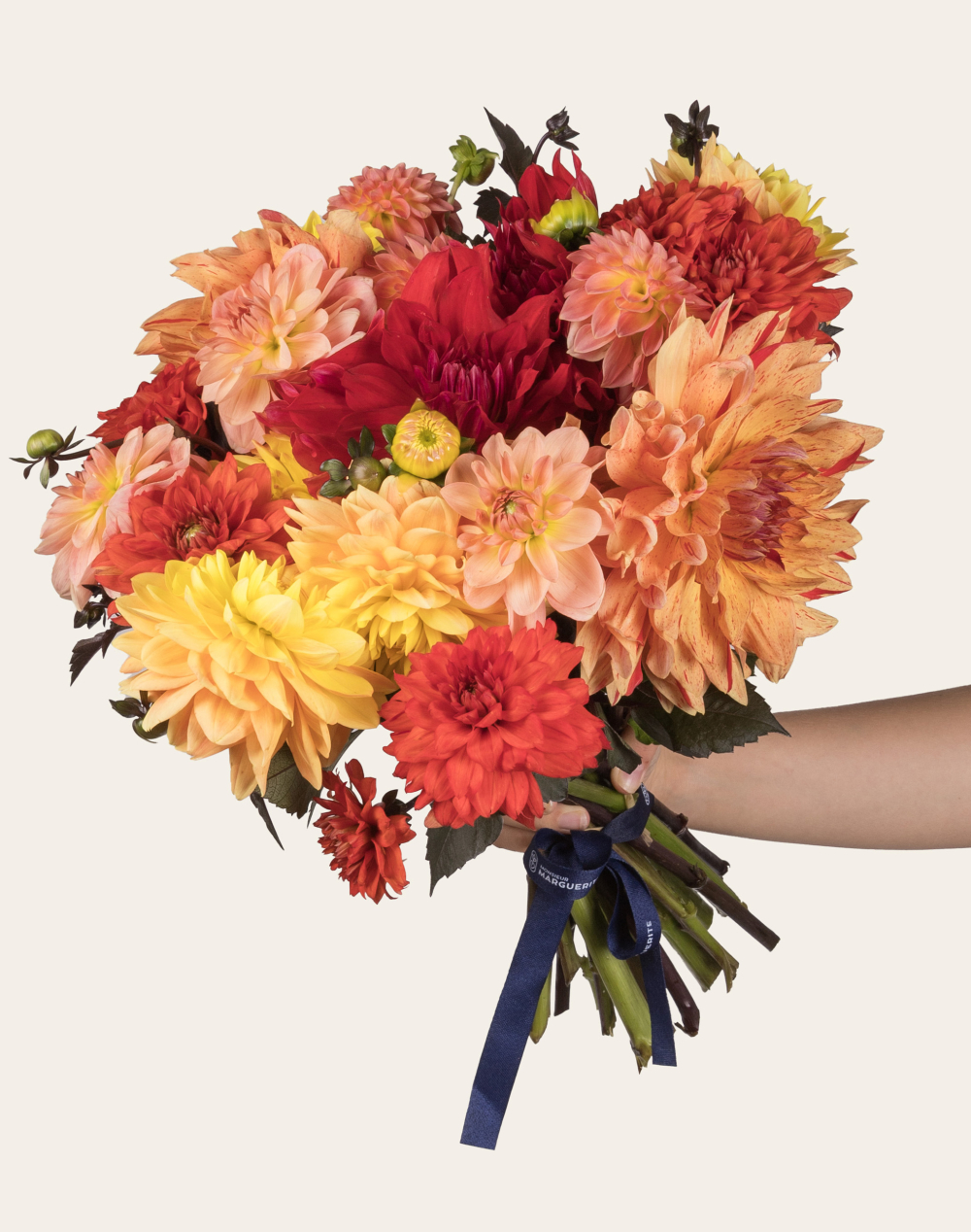 Botte surprise de Dahlias - Couleurs Automnales