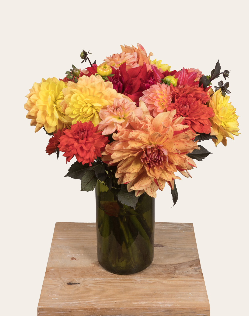 Botte surprise de Dahlias - Couleurs Automnales