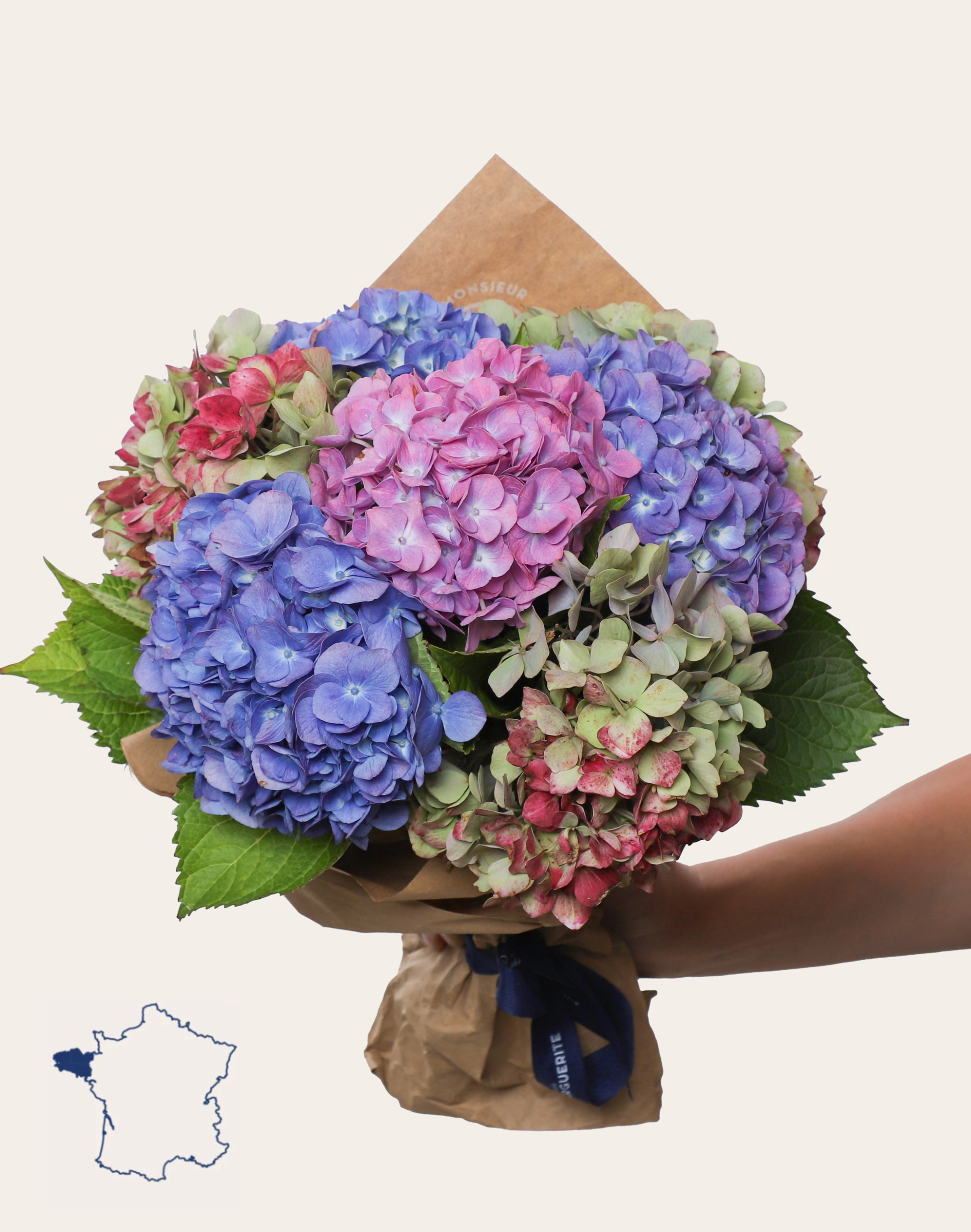 Bouquet camaïeu d'Hortensias