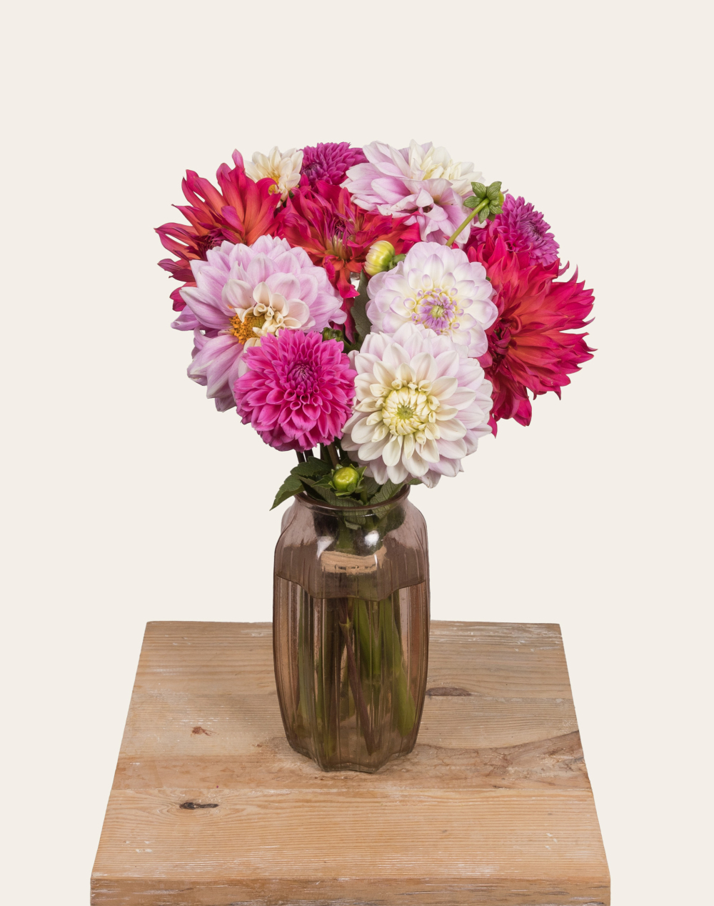 Pack Anniversaire - Botte de Dahlias surprises