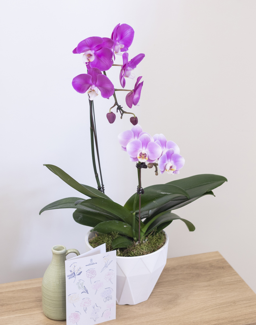 Composition de 2 Orchidées et sa céramique