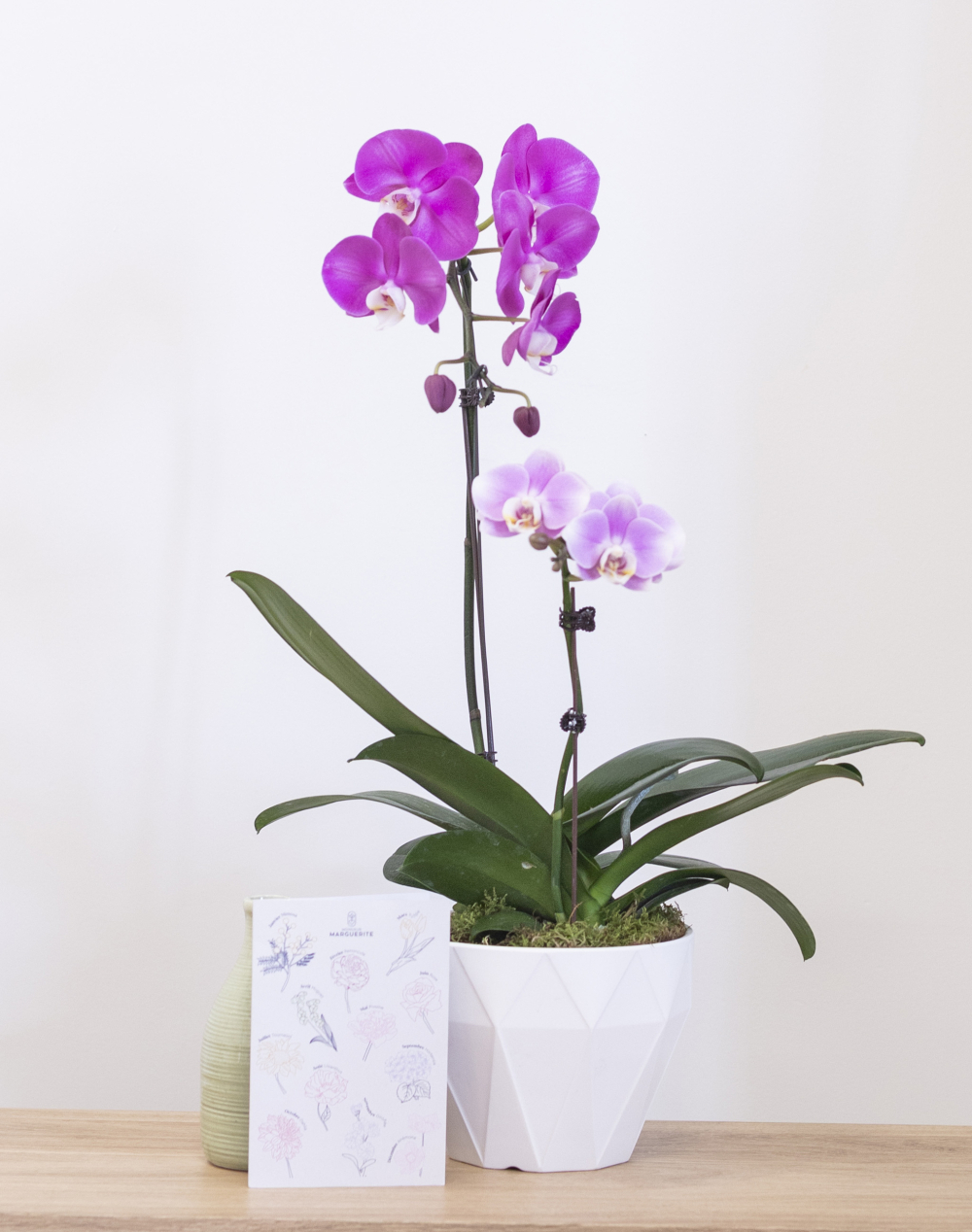 Composition de 2 Orchidées et sa céramique