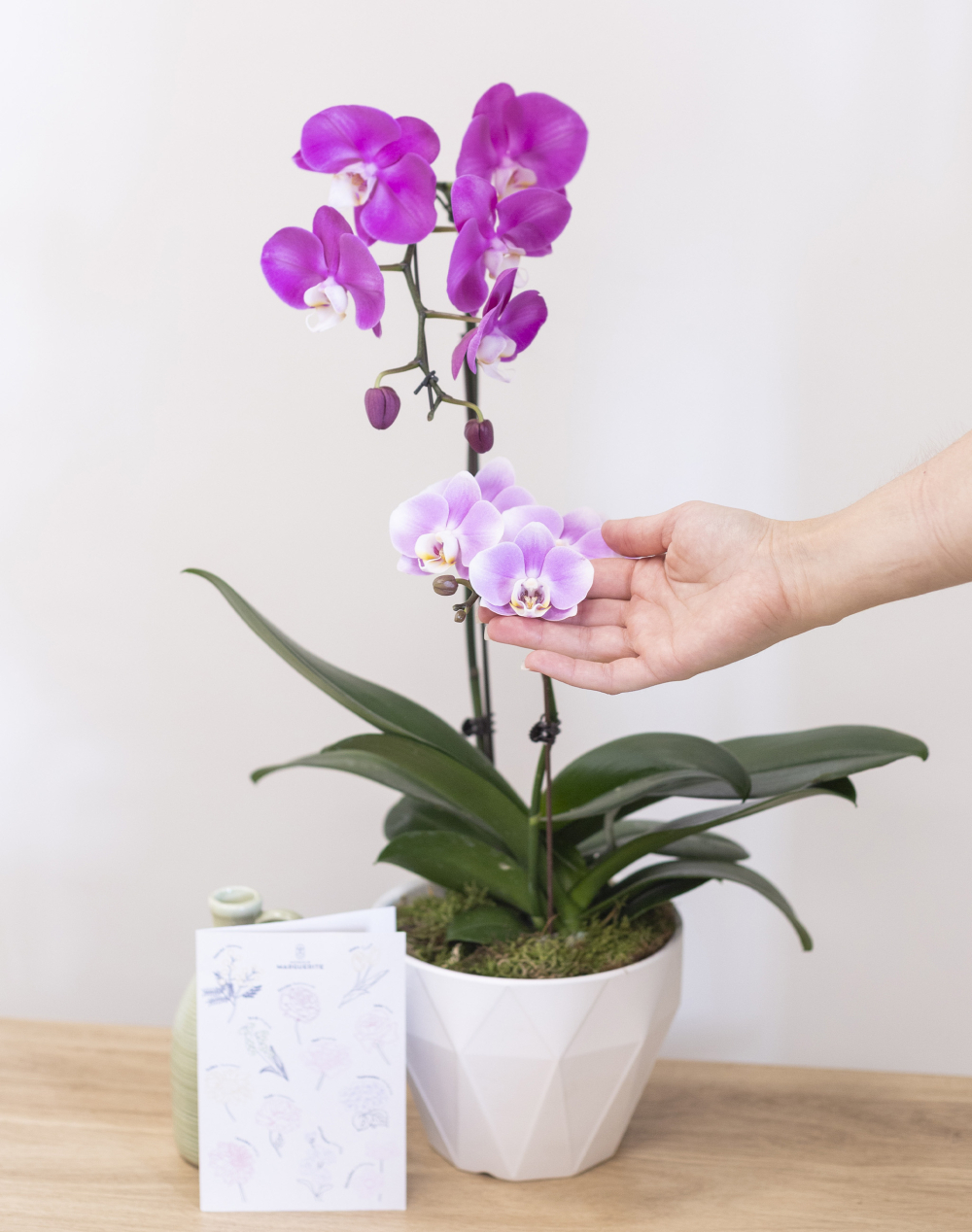 Composition de 2 Orchidées et sa céramique