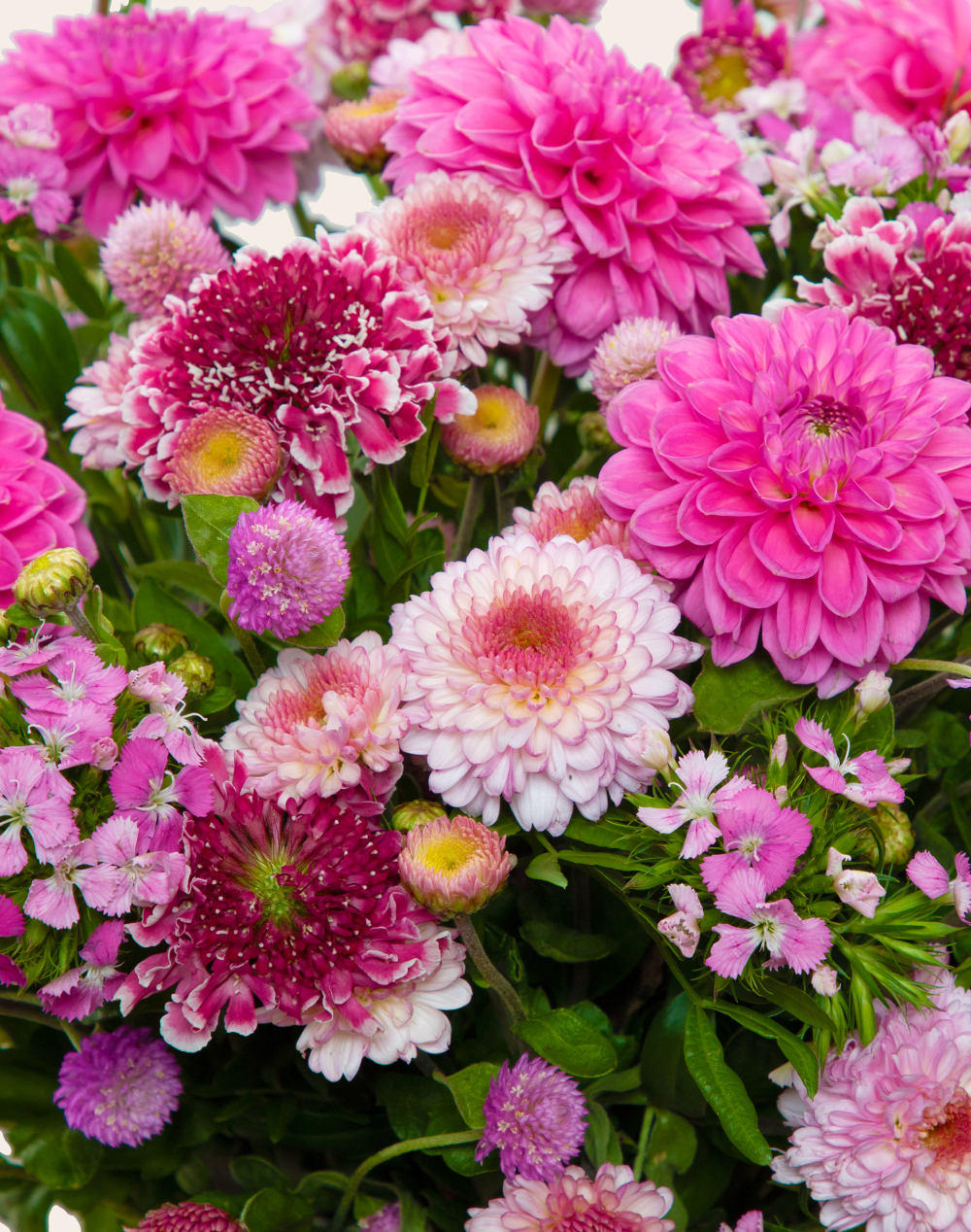 Bouquet de fleurs de saison