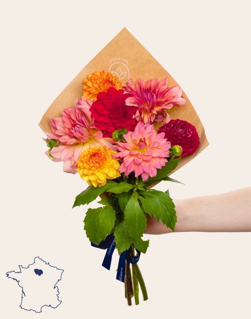 Botte de 7 Dahlias - Couleurs automnales | Fleurs à domicile | Monsieur Marguerite