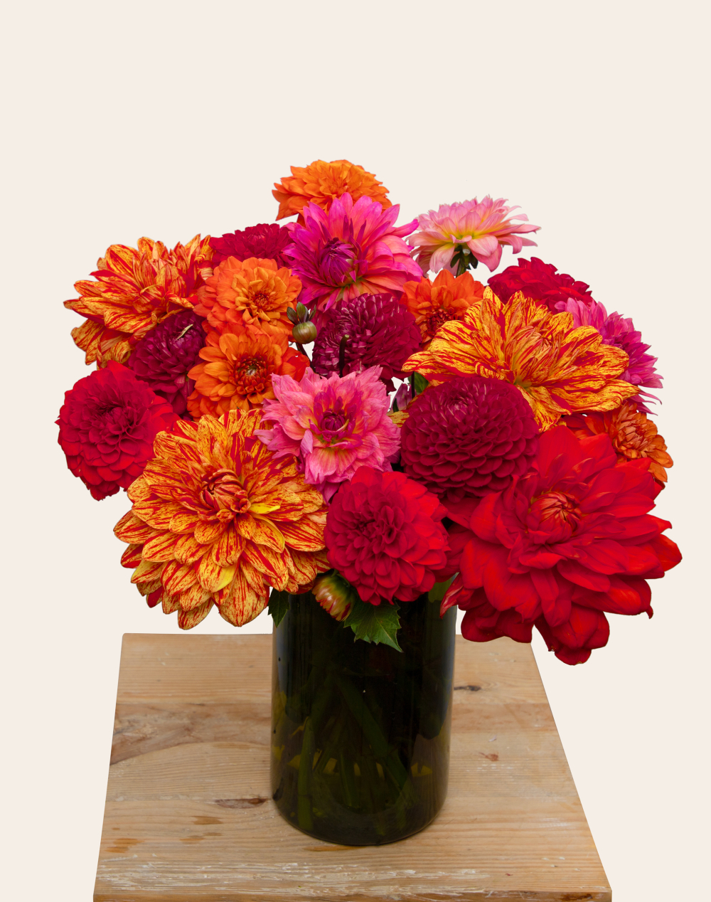 Botte de Dahlias - Couleurs Automnales