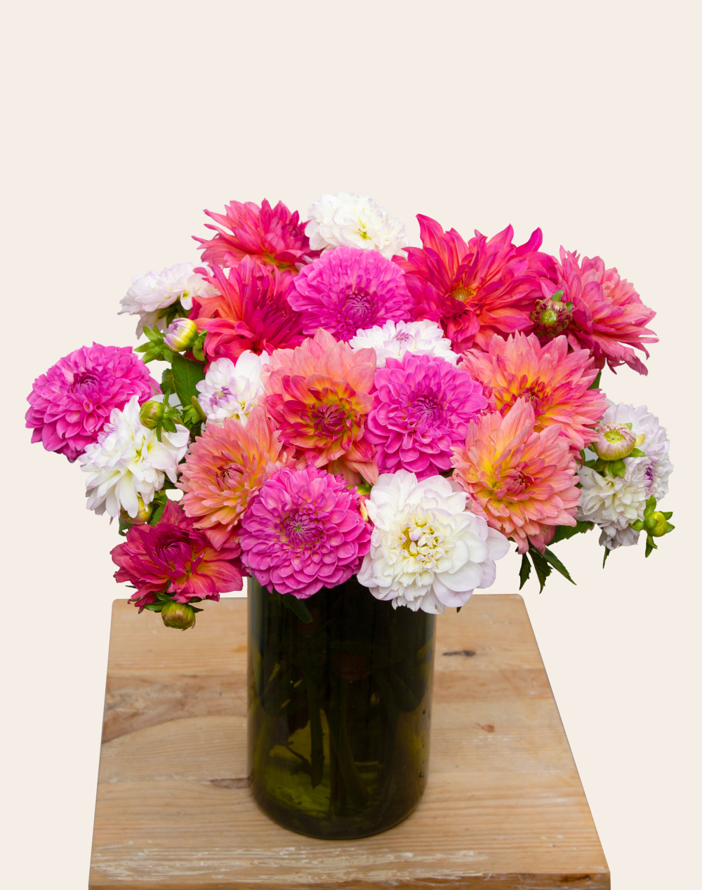 Botte surprise de Dahlias