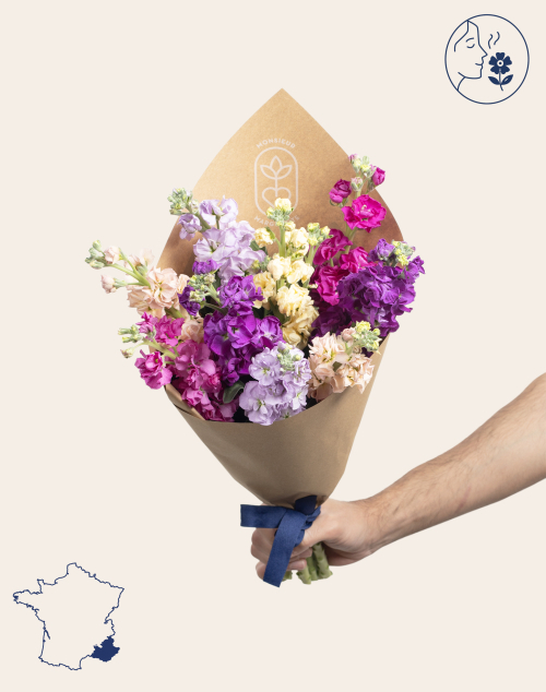 Botte surprise de 9 Giroflées parfumées | Fleurs à domicile | Monsieur Marguerite