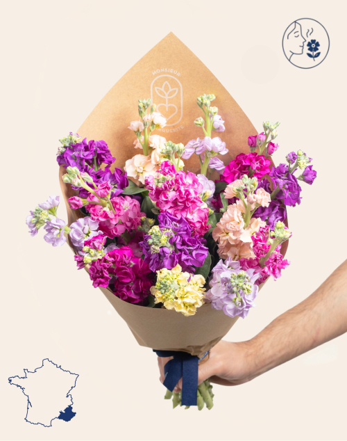 Botte surprise de 15 Giroflées parfumées | Fleurs à domicile | Monsieur Marguerite