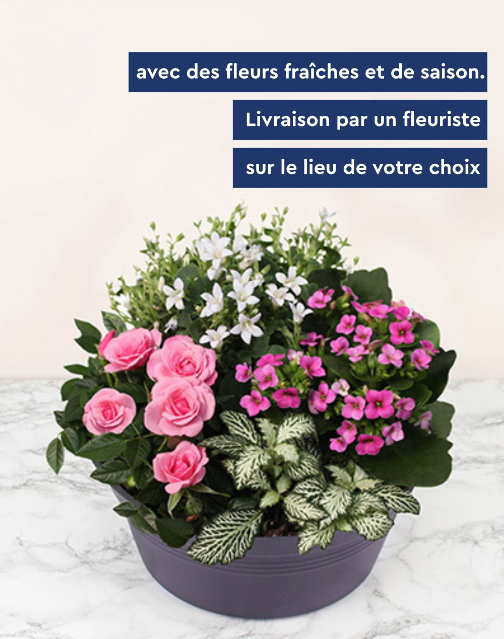 Coupe de plantes