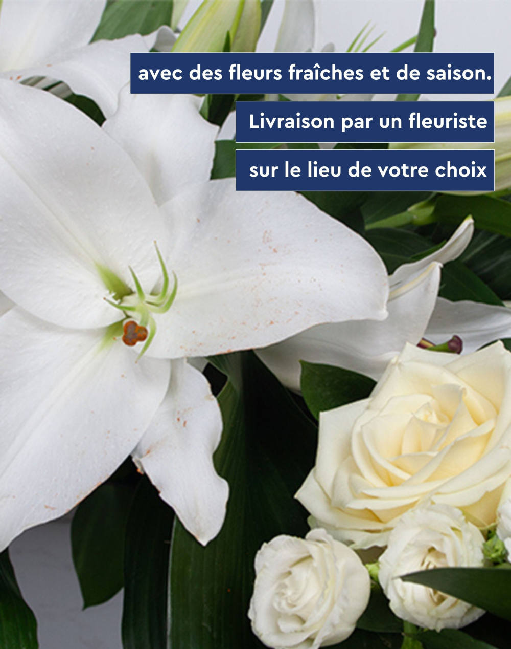 Dessus de cercueil & raquette