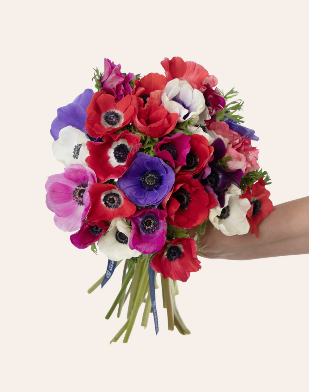 Botte surprise d'Anémones