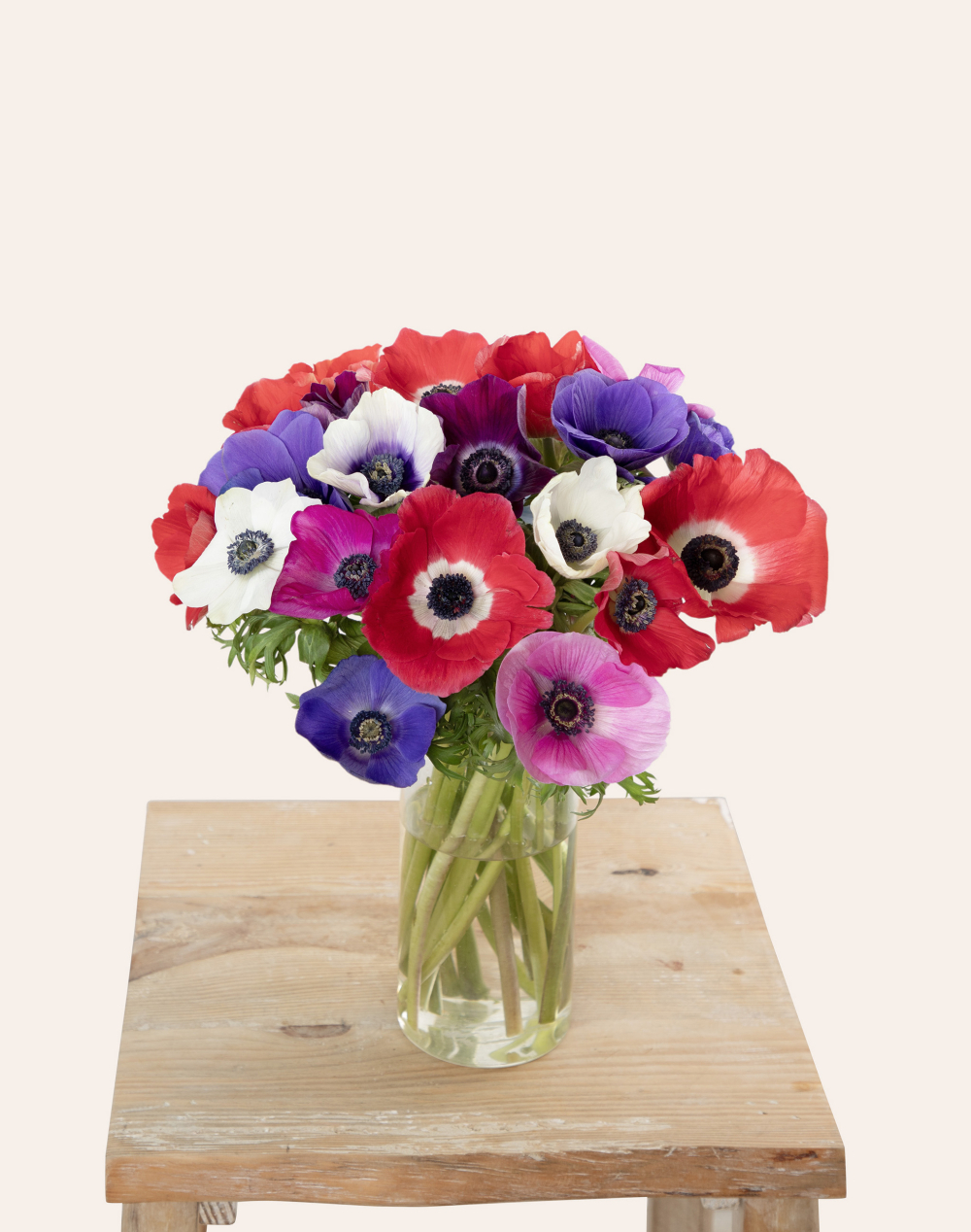 Botte surprise d'Anémones